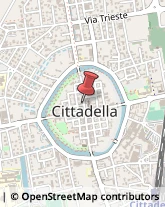 Trasporti Cittadella,35013Padova