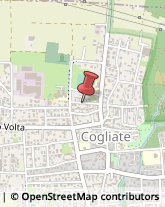 Pelliccerie Cogliate,20815Monza e Brianza