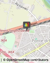 Enoteche Padova,35129Padova