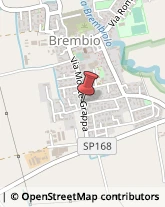 Agrumi Brembio,26822Lodi