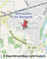 ,27039Pavia