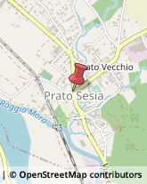 Psicologi Prato Sesia,28077Novara