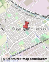 Imprese di Pulizia Pregnana Milanese,20010Milano
