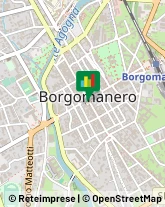 Osterie e Trattorie Borgomanero,28021Novara