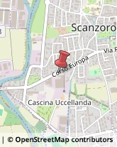 Cornici ed Aste - Dettaglio Scanzorosciate,24020Bergamo