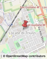 Bulbi e Sementi Locate di Triulzi,20085Milano