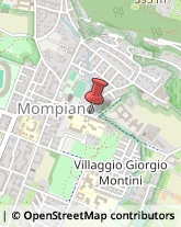 Comunità e Comprensori Montani,25133Brescia