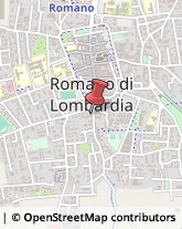 Alimenti Conservati Romano di Lombardia,24058Bergamo