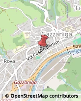 Ingegneri Gazzaniga,24025Bergamo