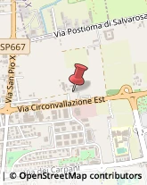 Agenzie di Animazione e Spettacolo,31033Treviso