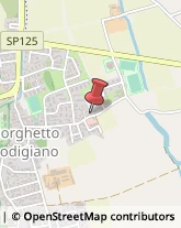 Aziende Agricole Borghetto Lodigiano,26812Lodi