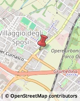 Pasticcerie - Produzione e Ingrosso Bergamo,24127Bergamo