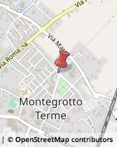 Pelletterie - Ingrosso e Produzione Montegrotto Terme,35036Padova