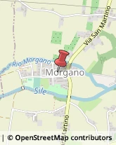 Scuole Materne Private Morgano,31050Treviso