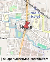 Cereali e Granaglie Noale,30033Venezia