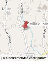 ,36060Vicenza