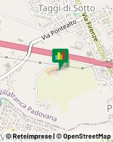 Bestiame - Allevamento e Commercio,35010Padova