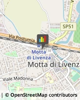 Associazioni Sindacali Motta di Livenza,31045Treviso