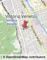 Agenzie di Animazione e Spettacolo Vittorio Veneto,31029Treviso