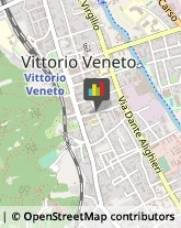 Agenzie di Animazione e Spettacolo Vittorio Veneto,31029Treviso