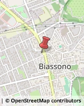 Massaggi Biassono,20853Monza e Brianza