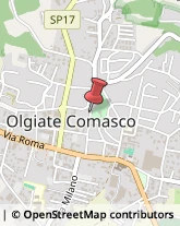 Paste Alimentari - Dettaglio Olgiate Comasco,22077Como