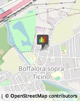 Stuccatori Boffalora sopra Ticino,28069Milano