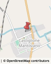 ,46048Mantova