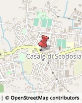 Commercialisti Casale di Scodosia,35040Padova