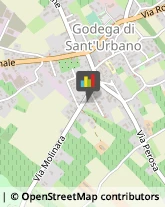 Traduttori ed Interpreti Godega di Sant'Urbano,31010Treviso