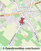 Traduttori ed Interpreti Godega di Sant'Urbano,31010Treviso