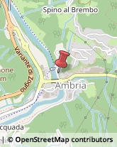 Veterinaria - Ambulatori e Laboratori Zogno,24010Bergamo