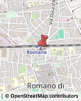 Ristoranti Romano di Lombardia,24058Bergamo