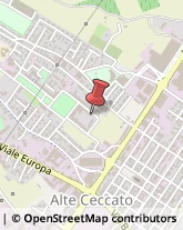 Geometri Montecchio Maggiore,36075Vicenza