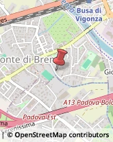 Licei - Scuole Private Padova,35129Padova