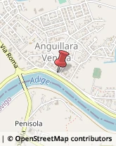 Autotrasporti Anguillara Veneta,35022Padova