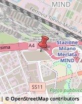 Pietre Preziose Milano,20151Milano