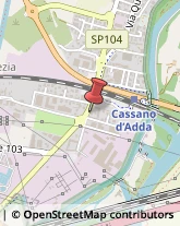 Pesce - Lavorazione e Commercio Cassano d'Adda,20062Milano