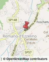 Piante e Fiori - Dettaglio Romano d'Ezzelino,36060Vicenza