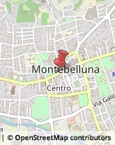 Società Immobiliari Montebelluna,31044Treviso