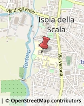 Ricerca Scientifica - Istituti Isola della Scala,37063Verona