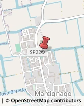 ,27020Pavia