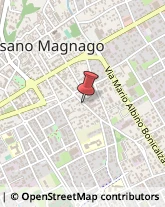 Asili Nido Cassano Magnago,21012Varese