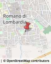 Ricerca e Selezione del Personale Romano di Lombardia,24058Bergamo