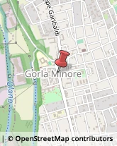 Articoli per Ortopedia Gorla Minore,21055Varese