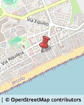 Imprese di Pulizia Jesolo,30016Venezia