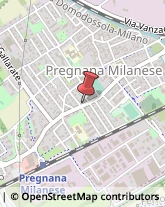 Autofficine e Centri Assistenza Pregnana Milanese,20010Milano