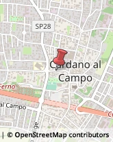 Abbigliamento Cardano al Campo,21010Varese