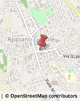 Agenzie Immobiliari Appiano Gentile,22070Como