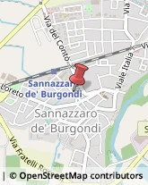 Palestre e Centri Fitness Sannazzaro de' Burgondi,27039Pavia